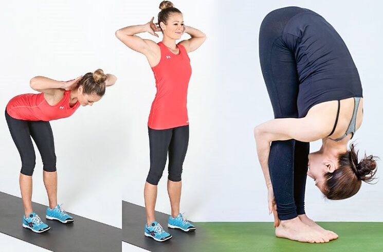 Curvaturas del torso